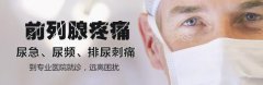 引发前列腺痛常见的四大因素