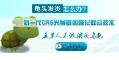 龟头炎会传染给您的伴侣不?