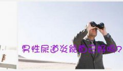 好好追踪尿道炎的痕迹!